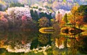Mùa thu Hàn Quốc đẹp huyền ảo làm say lòng dân phượt