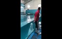 Video: Chàng trai nhận điều bất ngờ từ cá heo trắng