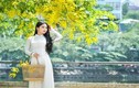 “Hot girl bánh mướt” xứ Nghệ khoe dịu dàng mùa hoa hoàng yến