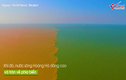 Video: Cảnh tượng ngoạn mục khi sông Hoàng Hà chảy ra biển khơi 
