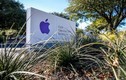 Nhân viên TQ lại đánh cắp bí mật lớn của Apple