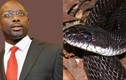 Rùng mình rắn khổng lồ có độc tại phủ tổng thống Liberia