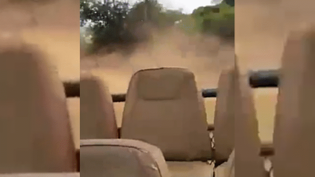 Video: Hươu cao cổ lao vun vút đuổi theo đoàn du khách