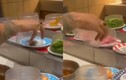 Thanh niên ăn lẩu băng chuyền làm hành động khiến netizen nóng mắt