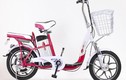 Xe đạp điện giá “chát”, hút dân chơi Việt
