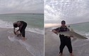 Hoảng hồn cá mập tấn công người khi bị tóm đuôi