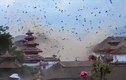 Cảnh chim bay tán loạn vì động đất ở Nepal