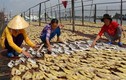 "Đột nhập" thủ phủ khô cá tra miền Tây hút khách dịp Tết