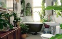 10 mẫu thiết kế phòng tắm đẹp phong cách hiện đại 2018 