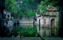 Những tiểu cảnh đẹp mê hồn trong Việt phủ Thành Chương