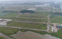 Thủ tướng yêu cầu kiểm tra 2.000 ha đất bỏ hoang ở Mê Linh