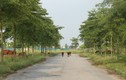 Thủ tướng yêu cầu làm rõ 2.000 ha đất bỏ hoang ở Mê Linh