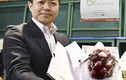 Điều gì khiến chùm nho đỏ Nhật Bản có giá hơn 255 triệu đồng