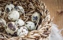 Lợi ích dinh dưỡng từ trứng cút