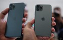 iPhone 11, 11 Pro và 11 Pro Max khác nhau thế nào?