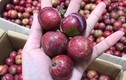 Mận trái mùa giá “chát” rao bán đầy trên mạng, NTD coi chừng hàng Tàu