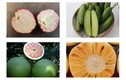 Kỳ lạ 7 loại quả không hạt “giá chát”, chưa kịp về đã cháy hàng