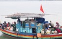 Ngư dân Hà Tĩnh kiếm tiền triệu mỗi ngày