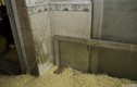 Cảnh kinh hoàng bên trong xưởng sản xuất mì “siêu bẩn“