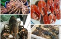Những loại hải sản “nhà giàu” rớt giá năm 2020