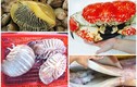 Bóc giá loạt hải sản khổng lồ gây sốt thị trường Việt đầu năm 2021