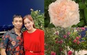 Bên trong ngôi nhà ngập tràn hoa hồng của Khánh Thi - Phan Hiển