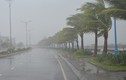 Hình ảnh bão số 5 đổ bộ dữ dội vào Quảng Ninh