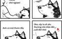 Bộ tranh: Sự khác nhau hài hước giữa chó và mèo