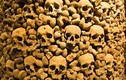 Đột nhập hầm mộ chứa 5 vạn bộ xương người 