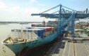 Cận cảnh hai cảng biển lớn nhất VN Vingroup muốn mua