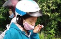 Du khách bị khỉ tấn công tóe máu mắt ở Đà Nẵng