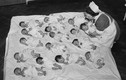 Ảnh độc về cuộc “bùng nổ trẻ em” sau Thế chiến II