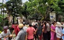 Thảm sát gia đình ở Hà Nội: Nạn nhân cuối cùng xuất viện