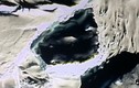 Lộ diện hộp sọ của người khổng lồ ở Nam Cực?