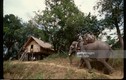 Loạt ảnh khó quên về Đắk Lắk năm 1994