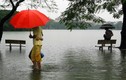 Những khoảnh khắc ngập lụt kinh điển ở Hà Nội và TP HCM