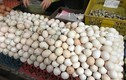 Trứng gà rẻ hơn rau, phá sản vì cảnh cả đời chưa từng có