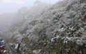 Video: Tuyết rơi phủ trắng đèo Ô Quy Hồ, Sapa