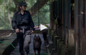 “Bóng hồng duy nhất” huấn luyện cảnh khuyển của Bộ tư lệnh Cảnh sát cơ động