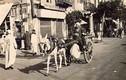Chùm ảnh cuộc sống ở Ai Cập sau Thế chiến II 