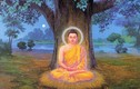 Phật dạy: người khôn ngoan nhất là người giỏi nhẫn nhịn