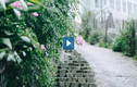Video : Vẻ đẹp bình yên của thành phố sương mù Đà Lạt