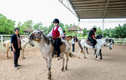 Video: Người Hà Nội chi tiền triệu học cưỡi ngựa phong cách châu Âu