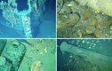 Video: Phát hiện báu vật từ con tàu đắm hơn 350 năm trước