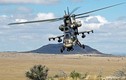 Sức mạnh trực thăng tấn công “chim cắt đỏ” của Nam Phi