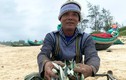 Việt Nam bất ngờ thu ngay 40 triệu USD nhờ bán một loài cá bình dân