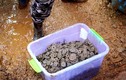 Bí ẩn hơn 5 tấn tiền xu cổ được chôn dưới ngôi làng Trung Quốc