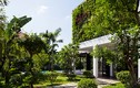 Thay tường thô cứng bằng vườn treo, biệt thự Việt đẹp ngỡ như ở trời Tây