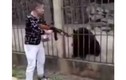 Du khách Trung Quốc bắn chết gấu bằng súng máy