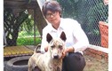 Trai trẻ quyết "săm soi" tìm cho được gen chó Phú Quốc thuần chủng